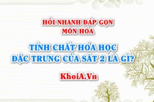 Tính chất hóa học đặc trưng của Sắt 2 là gì? Hỏi nhanh đáp gọn môn Hóa